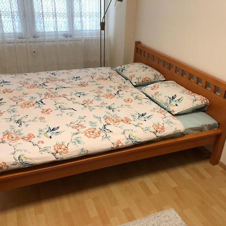 Apartment Sever Hroncova 코시체 외부 사진